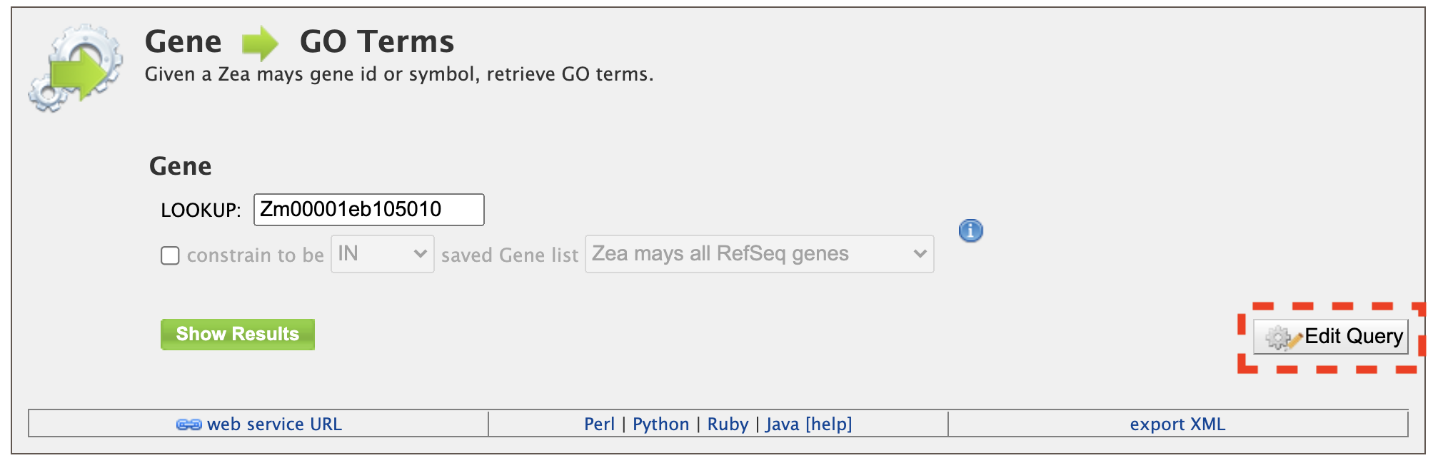 Searching for GO Terms Attached to a Gene